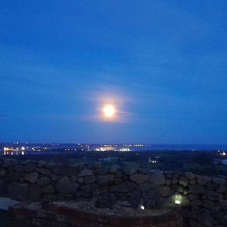 Hotel Fairy Cove At Rosemount Glamping Carlingford Exteriér fotografie