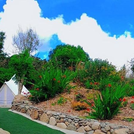 Hotel Fairy Cove At Rosemount Glamping Carlingford Exteriér fotografie