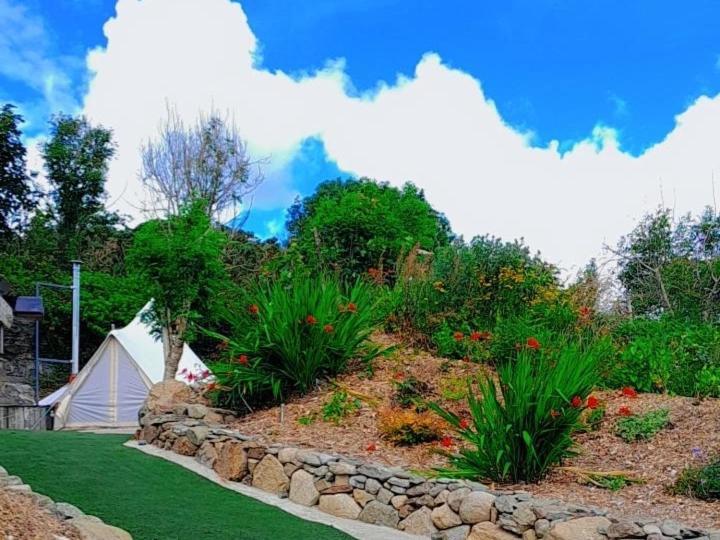 Hotel Fairy Cove At Rosemount Glamping Carlingford Exteriér fotografie