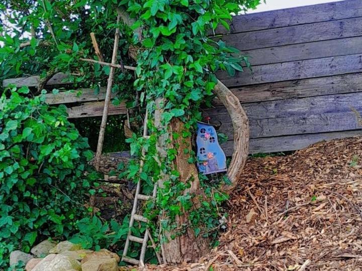 Hotel Fairy Cove At Rosemount Glamping Carlingford Exteriér fotografie